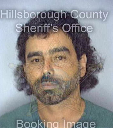 Gonzalez Josue - Hillsborough County, FL 