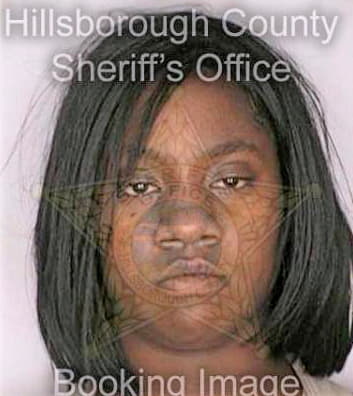 Simmons Natasa - Hillsborough County, FL 