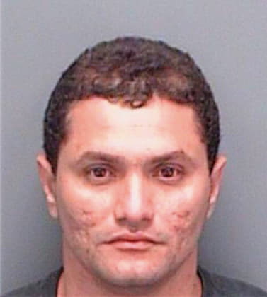 Alonsocastillo Eloy - Pinellas County, FL 