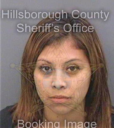 Garcia Lucero - Hillsborough County, FL 