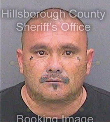 Coto Christopher - Hillsborough County, FL 