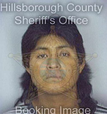 Delacruz Jesus - Hillsborough County, FL 