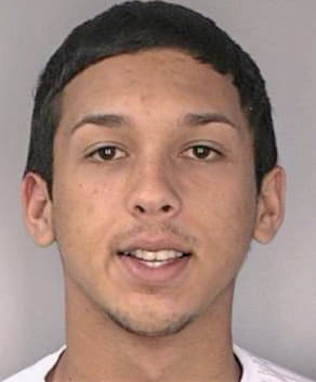 Molina Edgardo - Hillsborough County, FL 