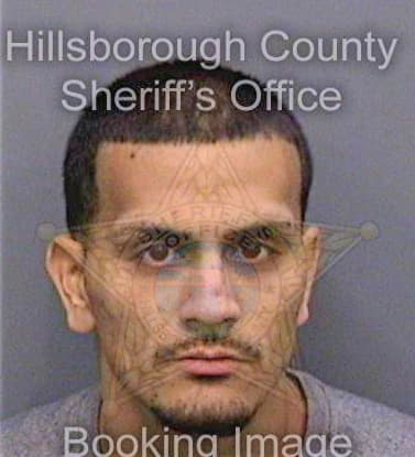 Vazquezsantos Anthony - Hillsborough County, FL 