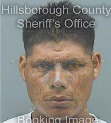 Sanchez Julio - Hillsborough County, FL 