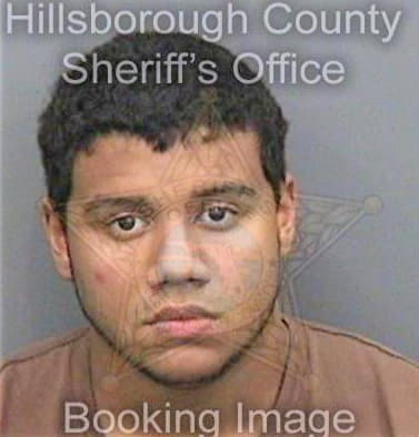 Gonzalez Bernabe - Hillsborough County, FL 