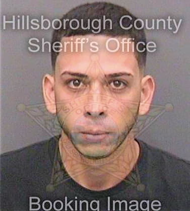 Torresnazario Osvaldo - Hillsborough County, FL 