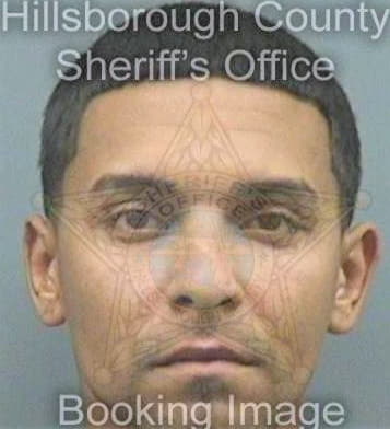 Maldonado Enrique - Hillsborough County, FL 