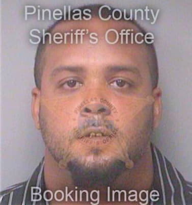 Bryant Shawn - Pinellas County, FL 