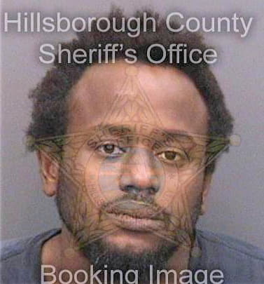 Stewart Albert - Hillsborough County, FL 