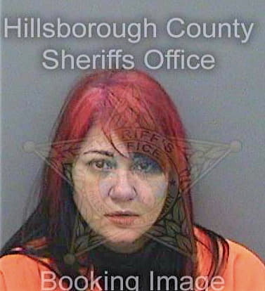 Gonzalez Yaidy - Hillsborough County, FL 