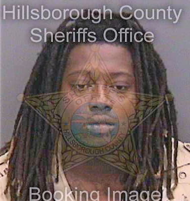 Scriven Otis - Hillsborough County, FL 