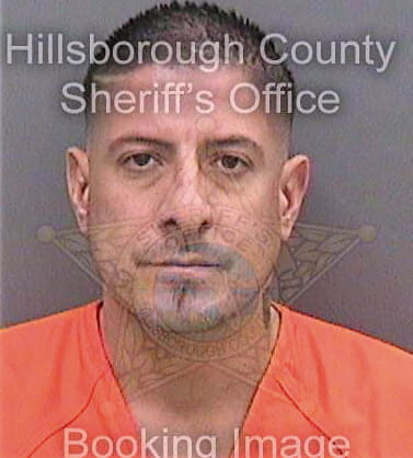 Santiagociena Alejandro - Hillsborough County, FL 