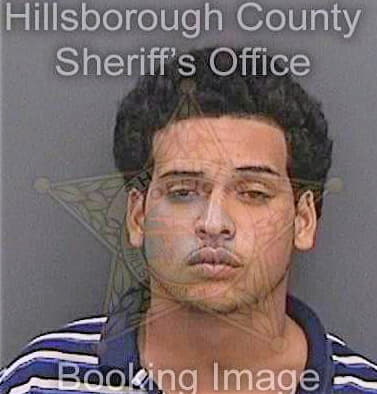 Cruz Cesar - Hillsborough County, FL 