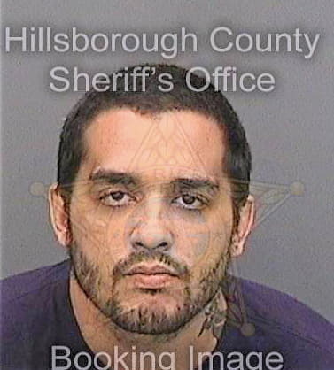 Serrano Evan - Hillsborough County, FL 