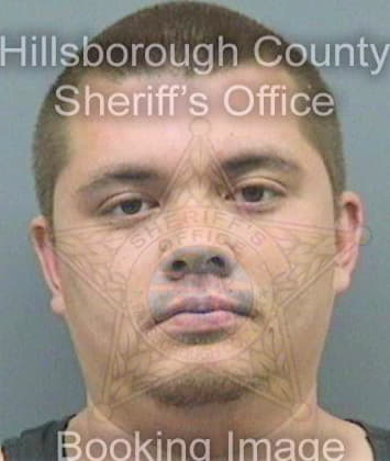 Leigh Christopher - Hillsborough County, FL 