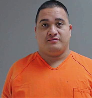 Hernandez Jesus - Hidalgo County, TX 