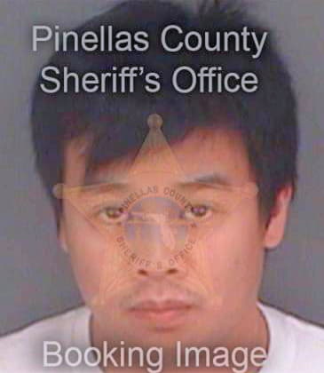 Nguyen Lam - Pinellas County, FL 