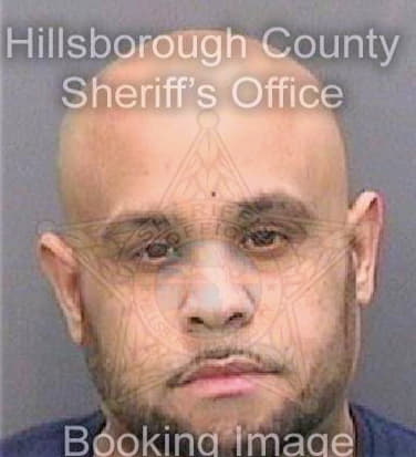 Silva Ariel - Hillsborough County, FL 