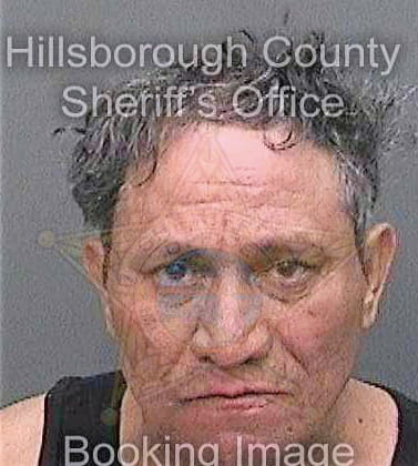 Velazcogarcia Emilio - Hillsborough County, FL 