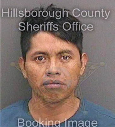 Perezmartin Rene - Hillsborough County, FL 