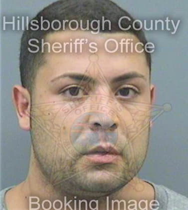 Shaheen William - Hillsborough County, FL 