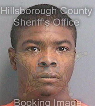 Melvin Albert - Hillsborough County, FL 
