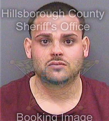 Menendez Elijah - Hillsborough County, FL 