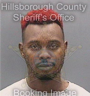 Williams Demetrius - Hillsborough County, FL 