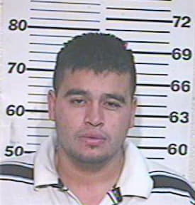 Hernandez Ismael - Hidalgo County, TX 