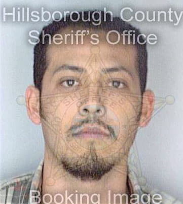 Ramirez Hugo - Hillsborough County, FL 