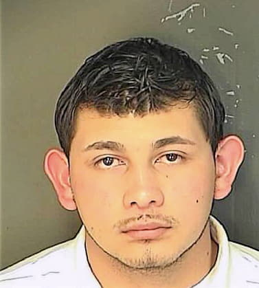 Nieto-Gonzalez Jose - Charleston County, SC 