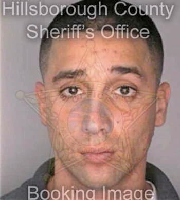 Otero Reynaldo - Hillsborough County, FL 