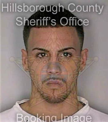 Vargas Aaron - Hillsborough County, FL 