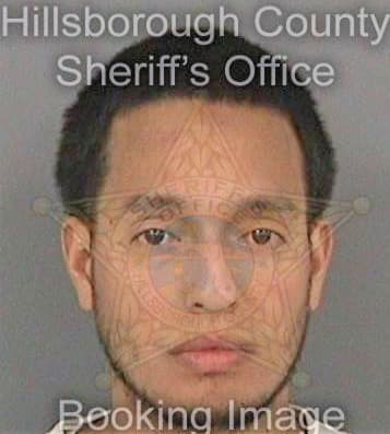 Canizares David - Hillsborough County, FL 