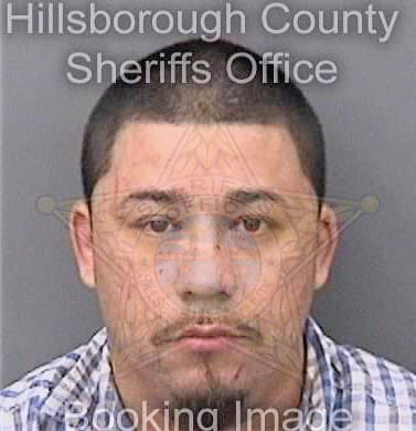 Diaz Rolando - Hillsborough County, FL 