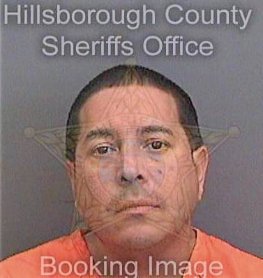 Carvajal Ivan - Hillsborough County, FL 