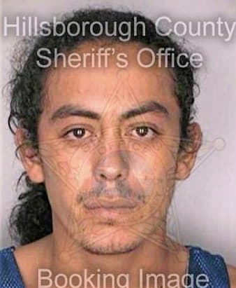 Canales Denis - Hillsborough County, FL 