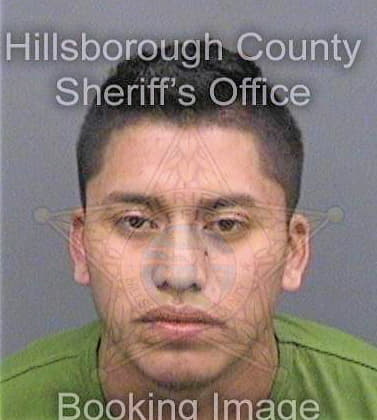 Lopezsantos Geovany - Hillsborough County, FL 