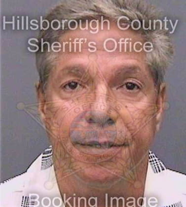 Gonzalez Ismael - Hillsborough County, FL 