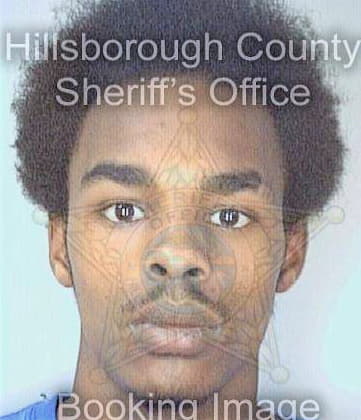 Martin Brian - Hillsborough County, FL 