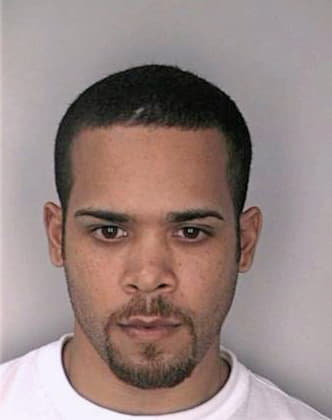 Melcadodiaz Carlos - Hillsborough County, FL 