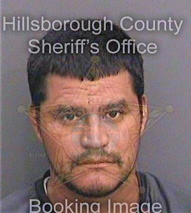 Lopez Delfino - Hillsborough County, FL 