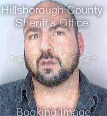 Papazis Emanuel - Hillsborough County, FL 