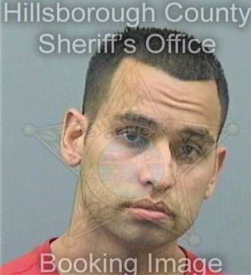 Estrada James - Hillsborough County, FL 