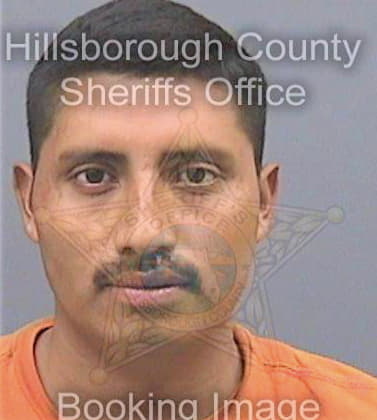 Perezlopez Yobani - Hillsborough County, FL 