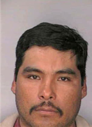 Mentado Alejandro - Hillsborough County, FL 