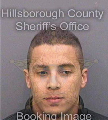 Essadik Ayoub - Hillsborough County, FL 