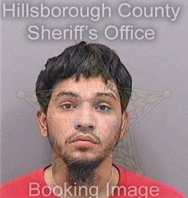 Colon Jose - Hillsborough County, FL 