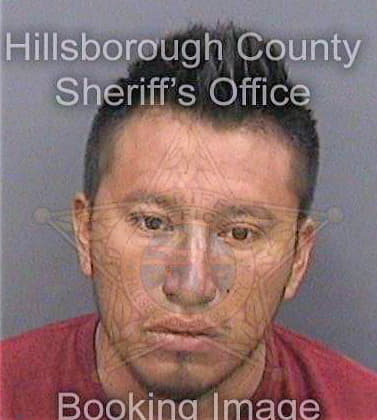 Hernandezhernandez Julio - Hillsborough County, FL 